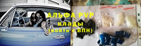 стаф Новозыбков