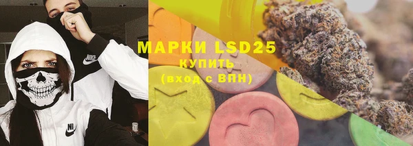 стаф Новозыбков