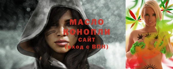 сатива Новодвинск