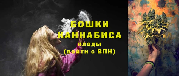 сатива Новодвинск