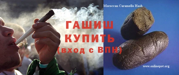 сатива Новодвинск