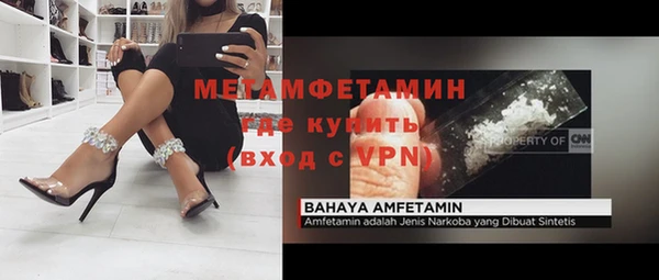 сатива Новодвинск