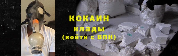 стаф Новозыбков