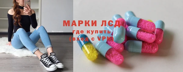 сатива Новодвинск