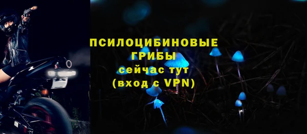 стаф Новозыбков