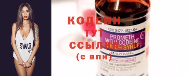 сатива Новодвинск