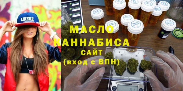 сатива Новодвинск