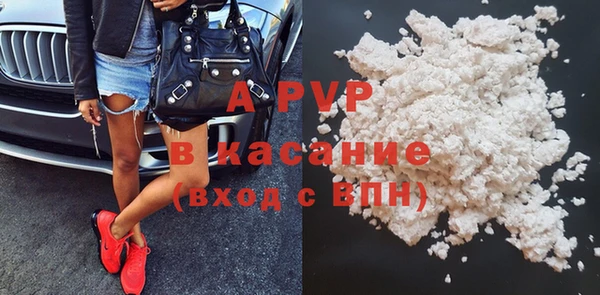 сатива Новодвинск