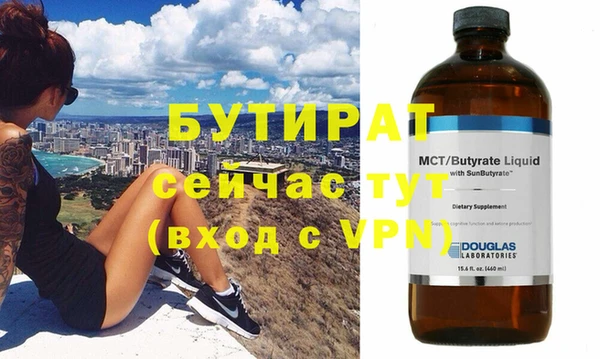 сатива Новодвинск