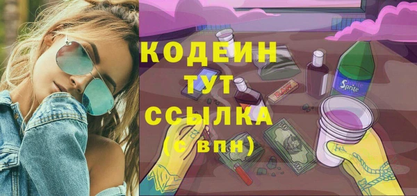 стаф Новозыбков