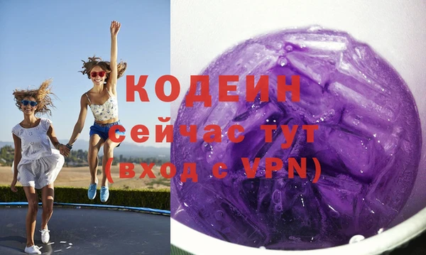 стаф Новозыбков