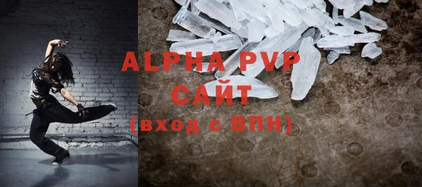 стаф Новозыбков