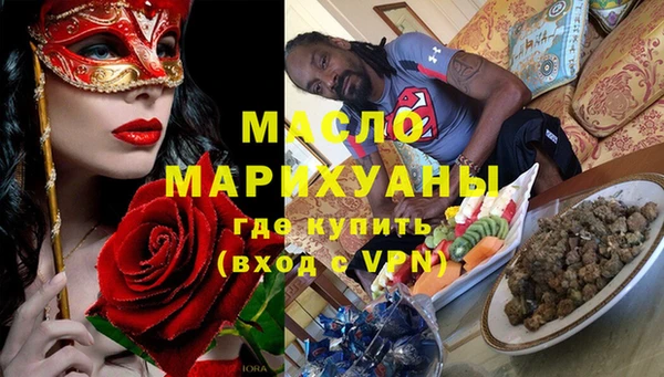 сатива Новодвинск