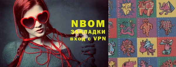 сатива Новодвинск