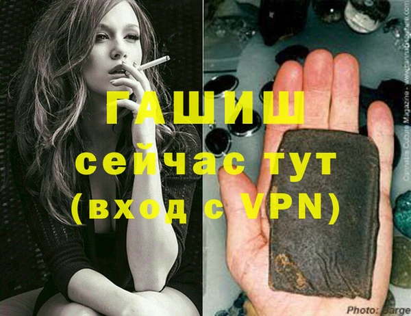 сатива Новодвинск