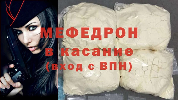 сатива Новодвинск