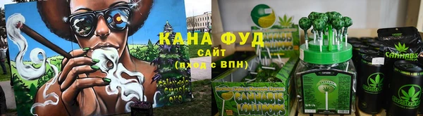 стаф Новозыбков