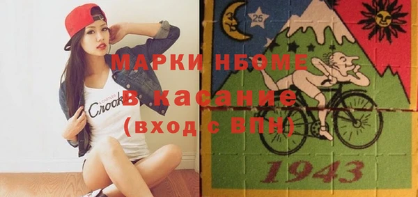 сатива Новодвинск